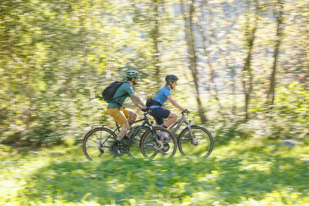 Geführte Radtour im Müritz-Nationalpark