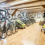 Innenaufnahme von Fahrradladen Karberg in Waren mit Fahrradanhängern und diversen Fahrrädern